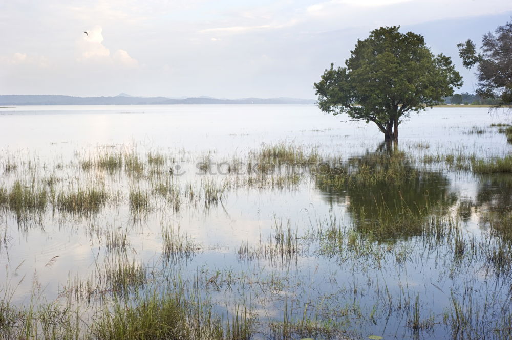 Similar – Image, Stock Photo A little water….