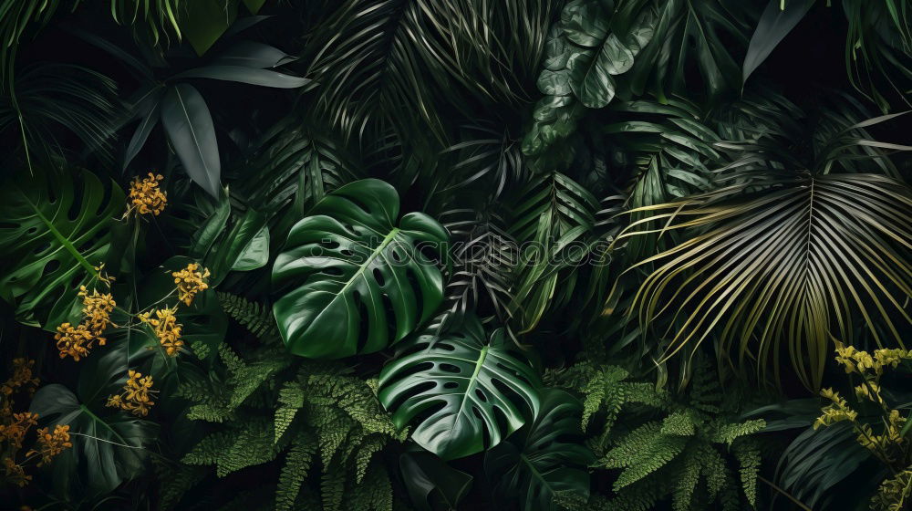 Similar – Image, Stock Photo hands reaching towards bamboo branches