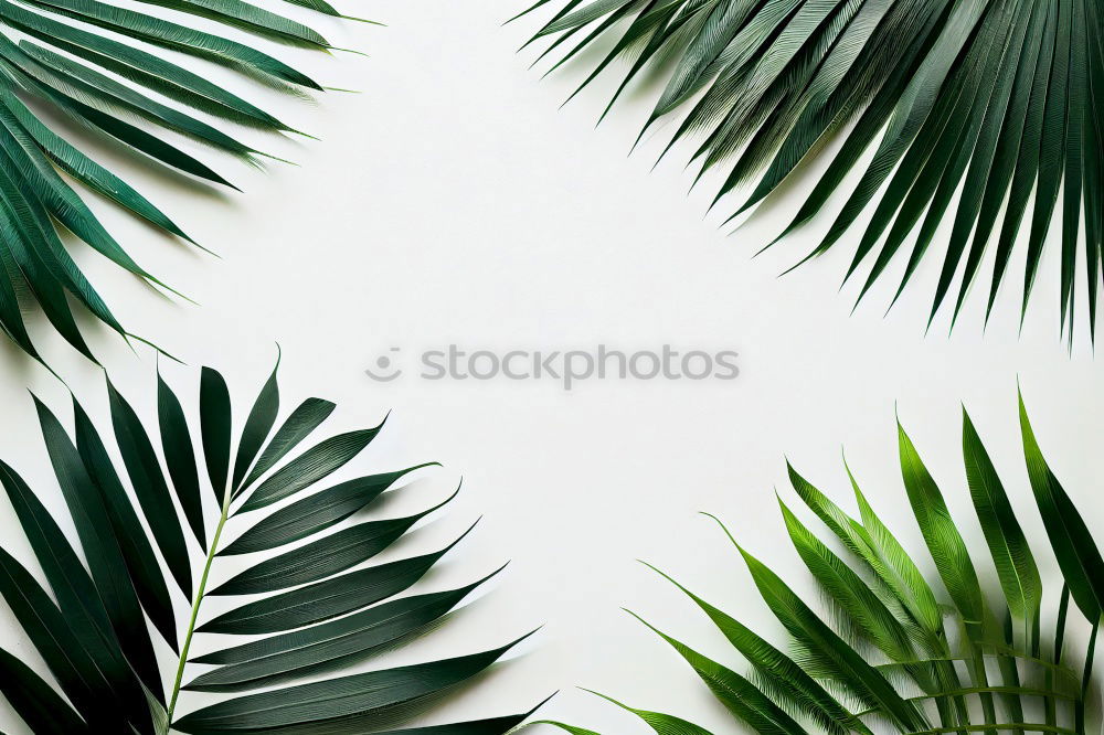 Similar – Image, Stock Photo Vacation. Environment