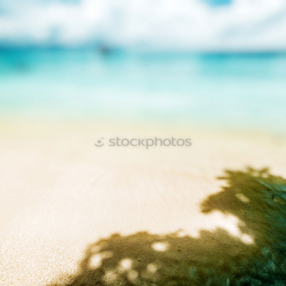 Similar – Image, Stock Photo relaxation