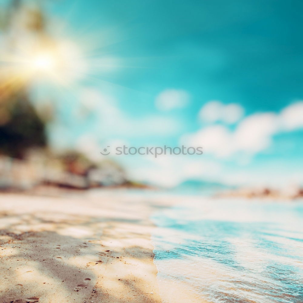 Similar – Image, Stock Photo Autumn flower pile on blue table with scissors