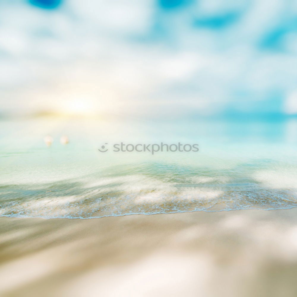 Image, Stock Photo Beach umbrellas in sunset light