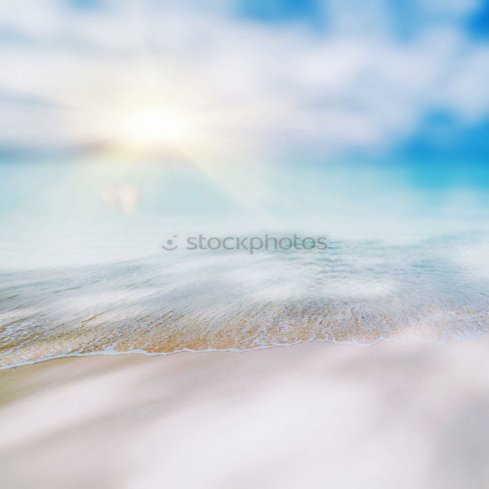 Similar – Image, Stock Photo Umbrella on beach near sea