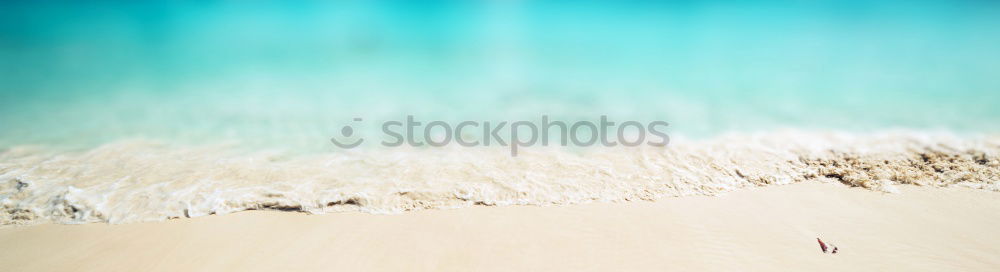 Similar – Beach in Tunisia Woman