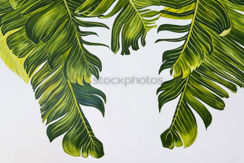 Similar – Image, Stock Photo Creative layout made of green leaves