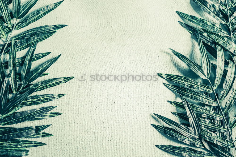 Similar – Image, Stock Photo Green Leaves Style Design