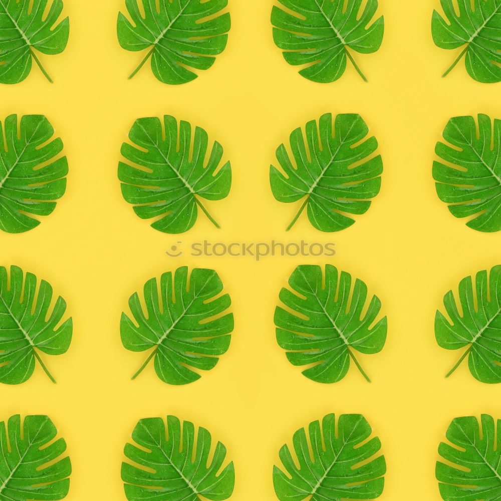 Similar – Image, Stock Photo Creative layout made of green leaves. Flat lay. Nature concept