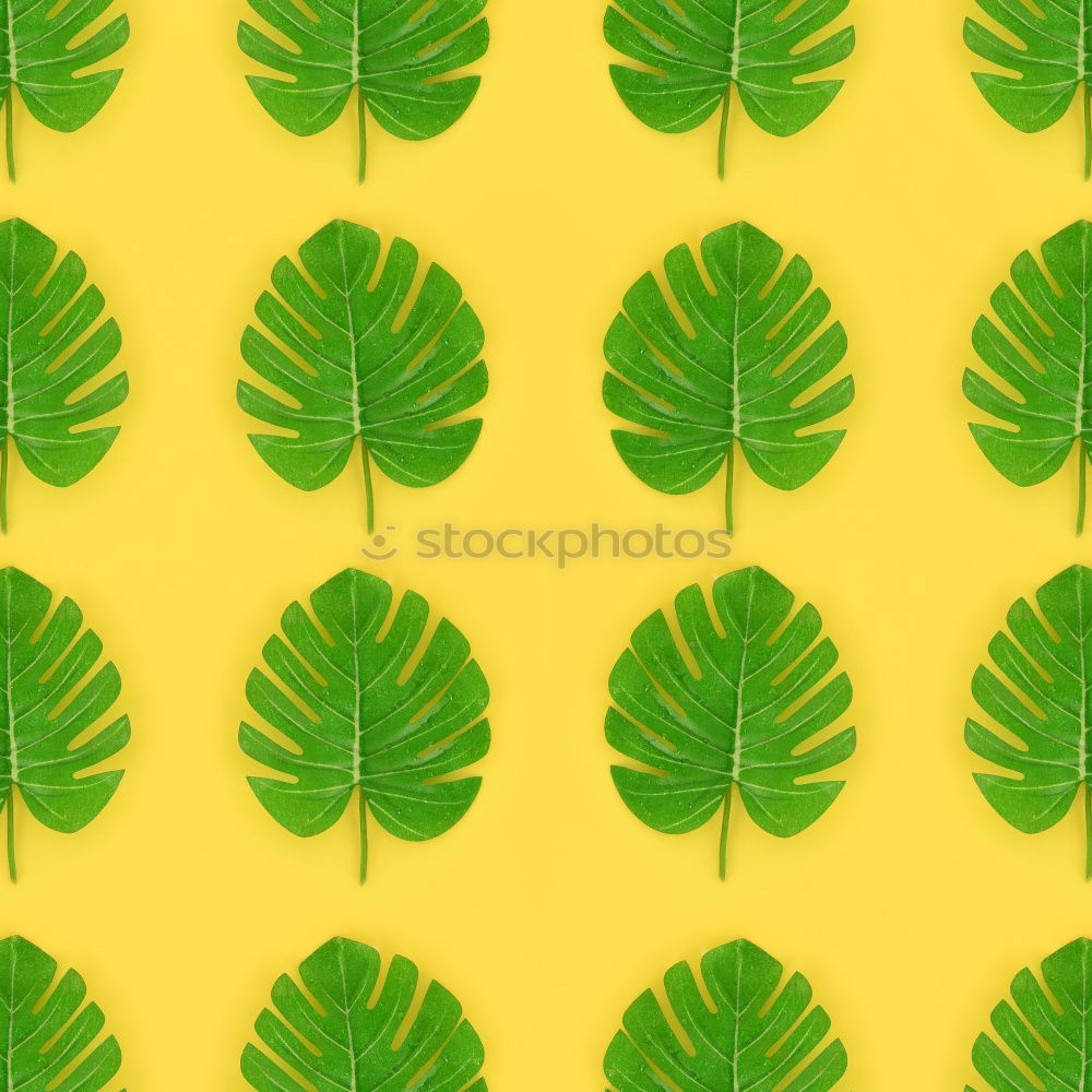 Similar – Image, Stock Photo Creative layout made of green leaves. Flat lay. Nature concept