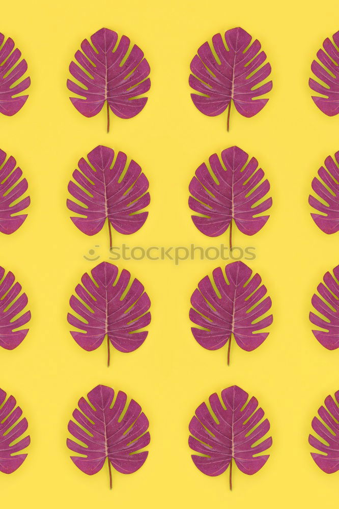 Similar – Image, Stock Photo Creative layout made of green leaves. Flat lay. Nature concept