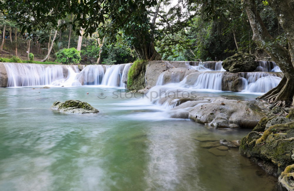 Similar – YS Waterfall Jamaica