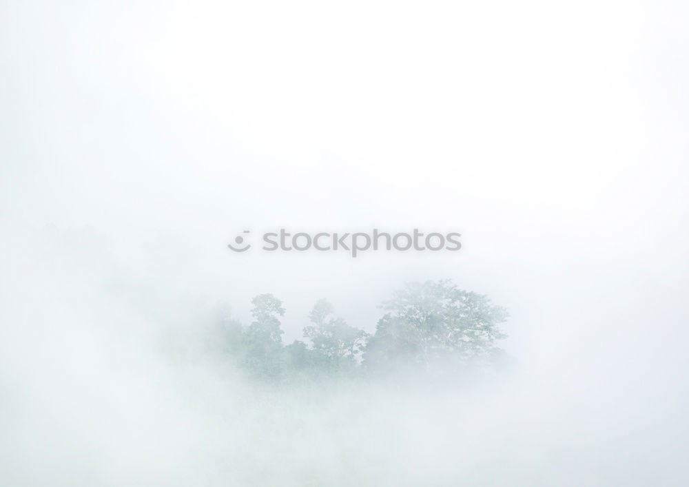 Similar – Panorama of forest covered by low clouds. Autumn rain and fog