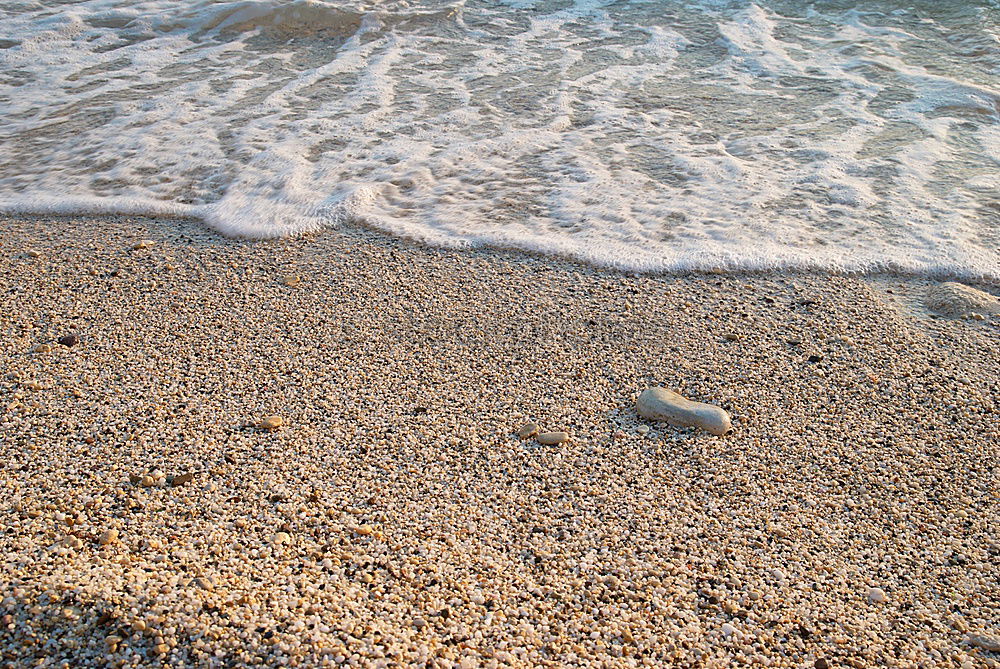 Similar – Image, Stock Photo primordial soup Earth Sand