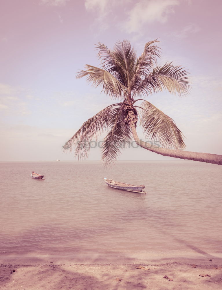 Similar – Image, Stock Photo Beaches Lifestyle