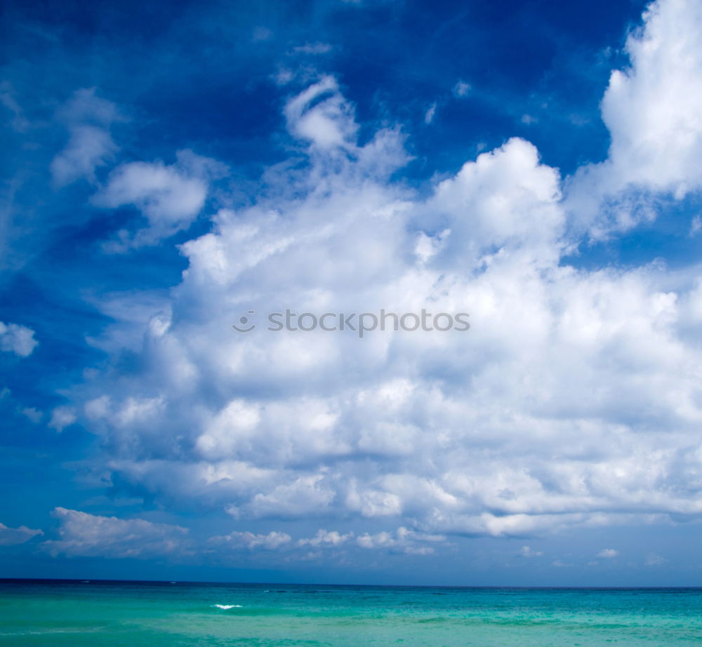 Similar – Image, Stock Photo la isla Beach Palm tree