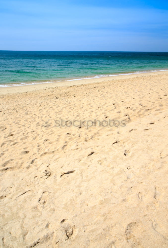 Similar – Image, Stock Photo Bird’s eye view of people on the beach