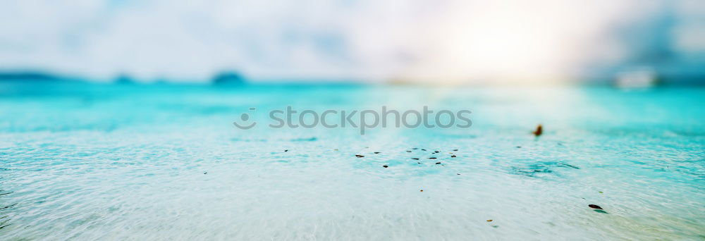 Similar – Image, Stock Photo Detail of fountain in Piazza (square) Navona, Rome, Italy. Movement frozen water