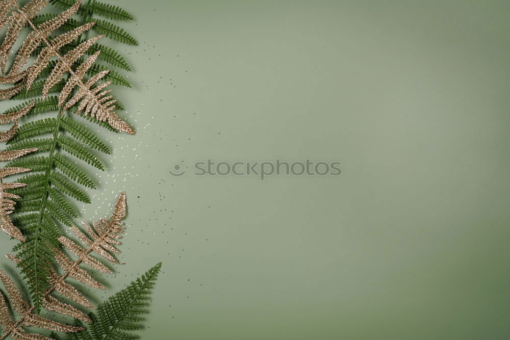 Similar – Image, Stock Photo You can’t see me! Nature