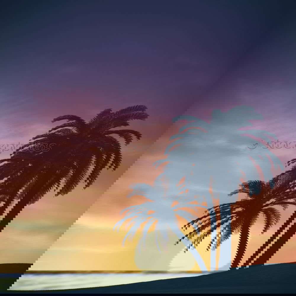 Similar – Image, Stock Photo Sunset in Venice