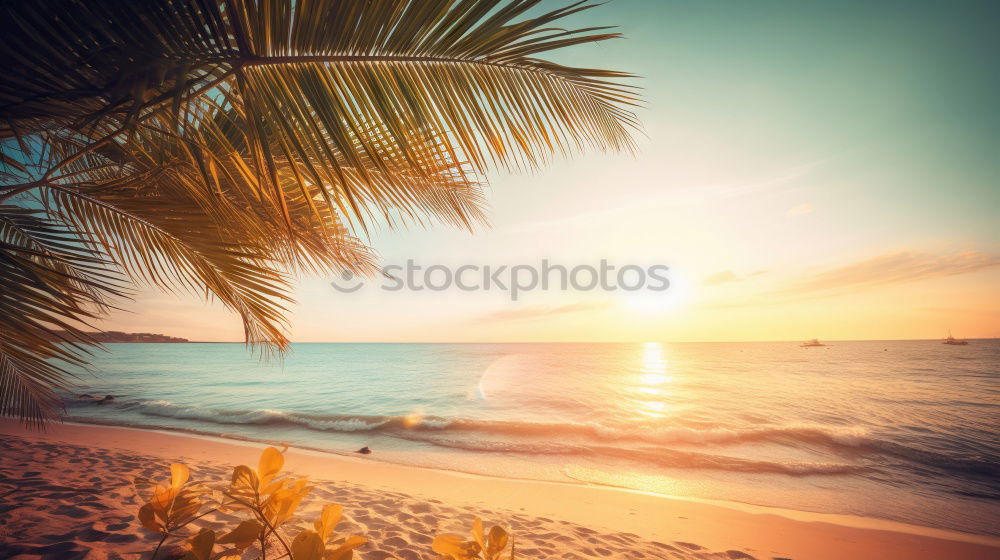 Similar – Image, Stock Photo Wooden umbrellas in a beach at sunset