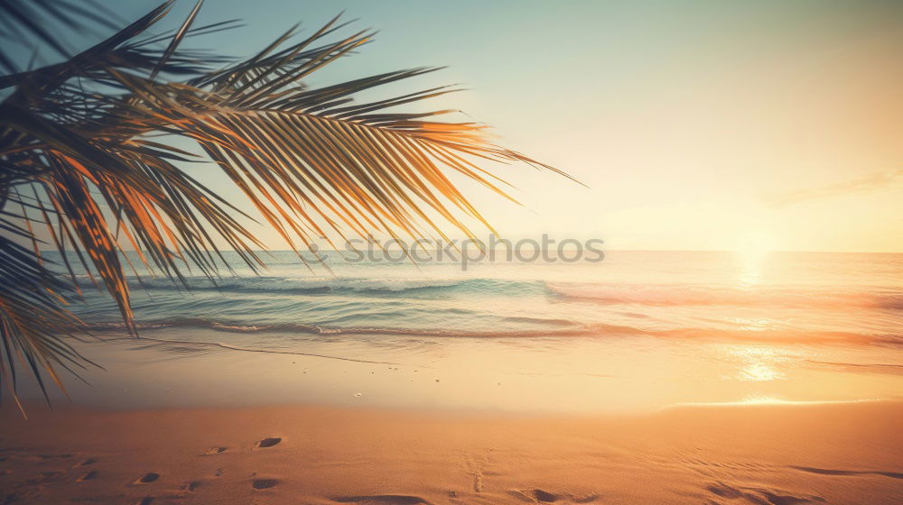 Similar – Image, Stock Photo . Relaxation Calm