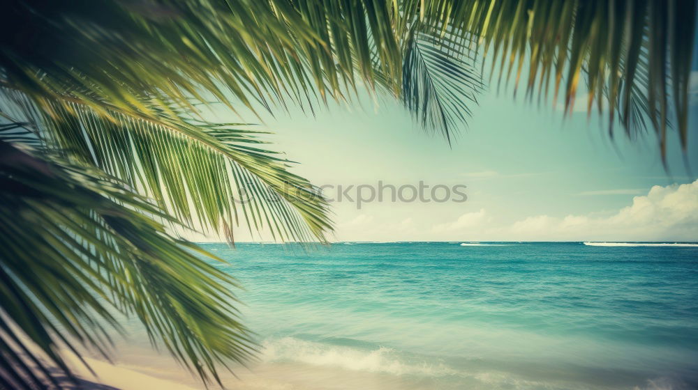 Similar – Image, Stock Photo beach view Beach Ocean