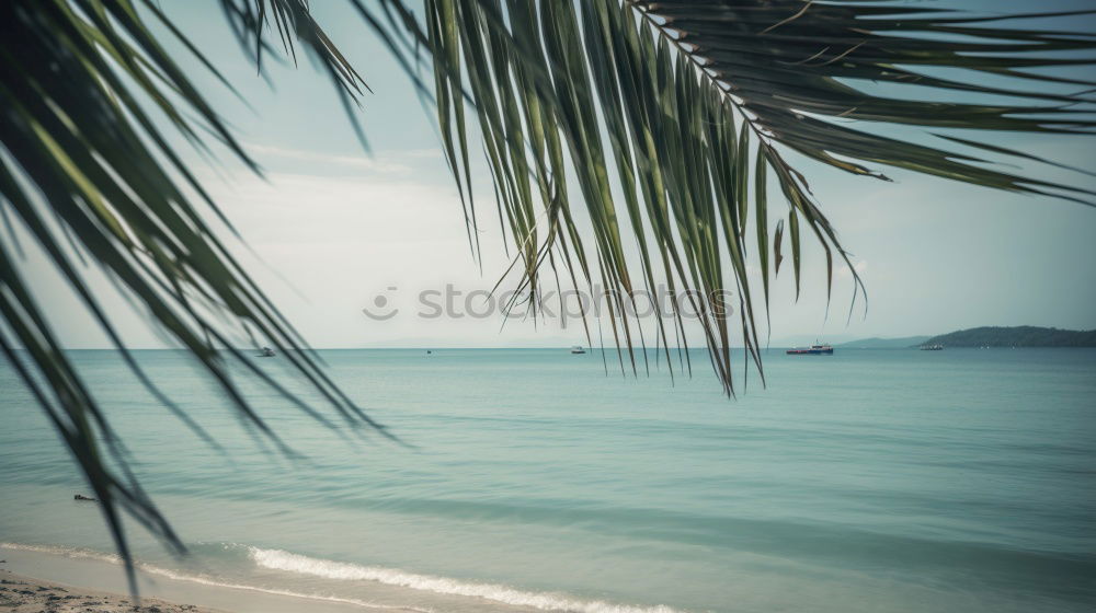 Similar – Schaukel an einem tropischen Strand