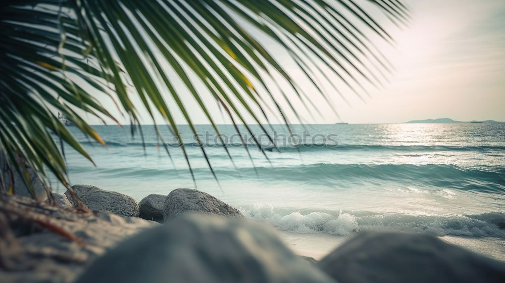 Similar – Schaukel an einem tropischen Strand