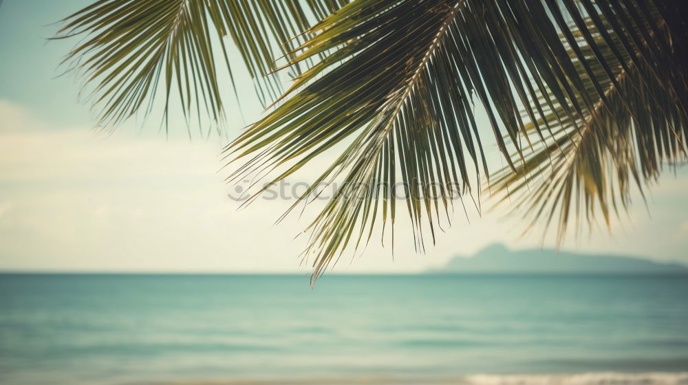 Similar – Image, Stock Photo Beaches Lifestyle