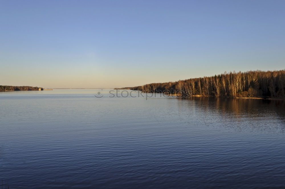 Similar – Still Water Lake Tree