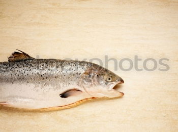 Similar – Image, Stock Photo Fillet charcoal in Alt