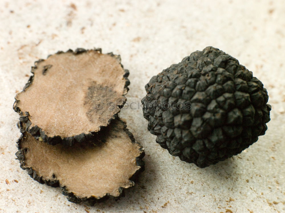 Similar – Image, Stock Photo avocado Food Fruit