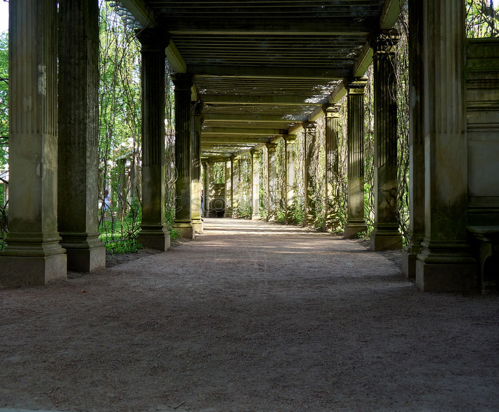 Similar – Image, Stock Photo Idyll with pleats on the bottom