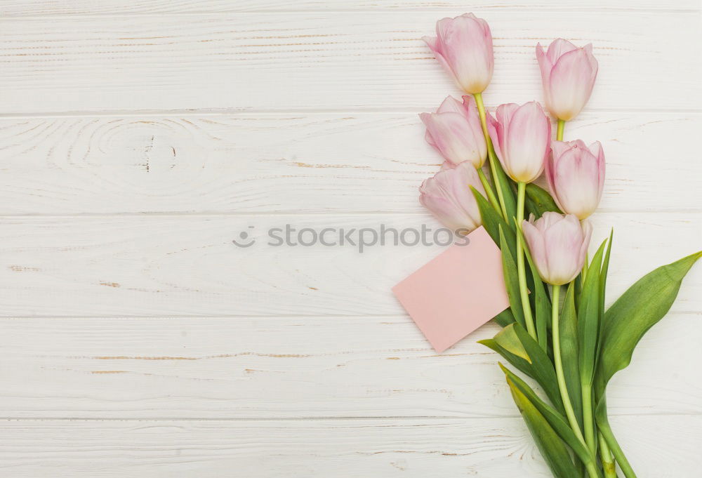 Similar – macaroons and a yellow cup