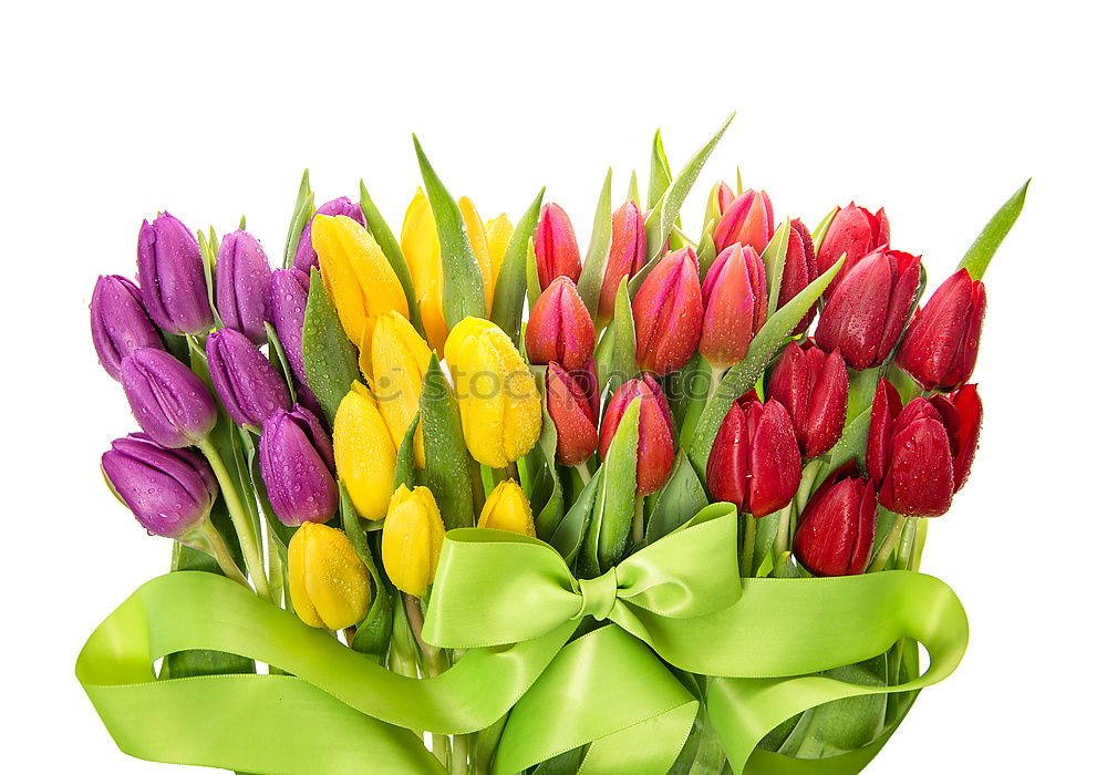 Similar – Foto Bild Tulpen ohne Ende Blume