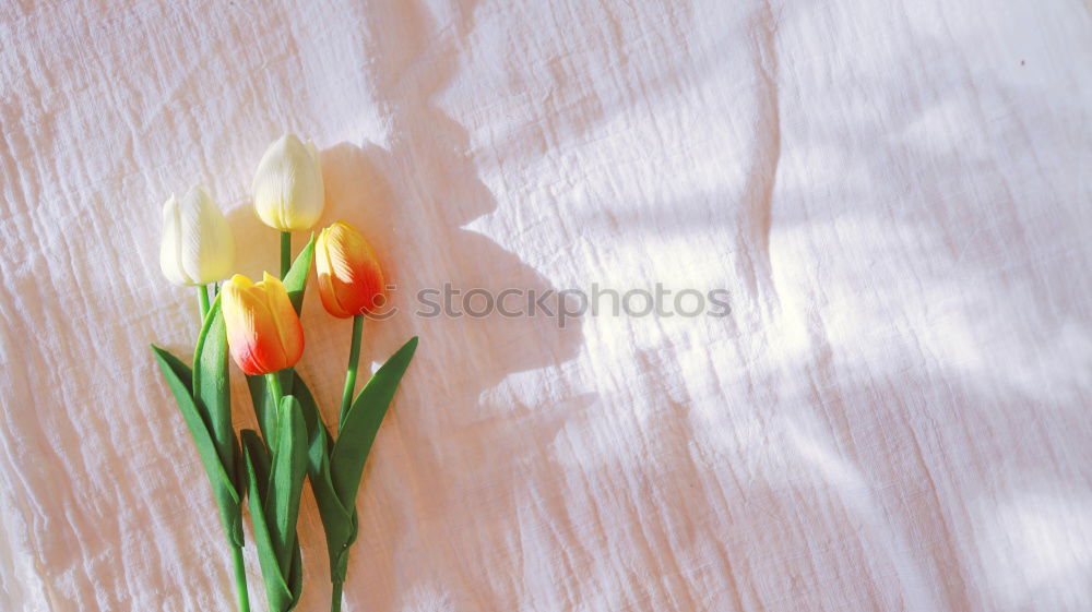 Similar – Image, Stock Photo bouquet Interior shot