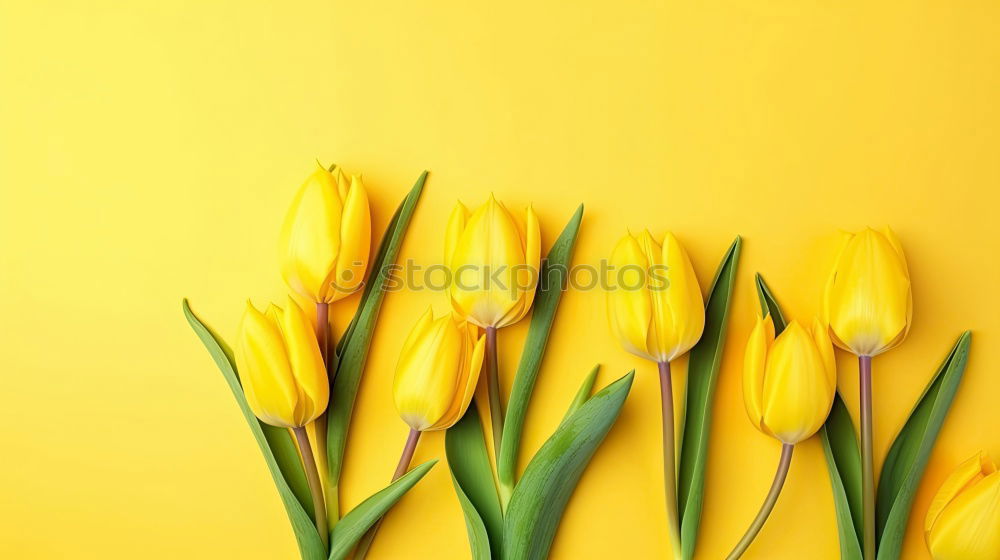 Yellow background with blue flowers