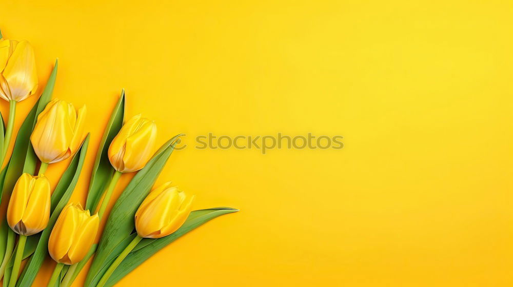 Similar – Yellow background with blue flowers