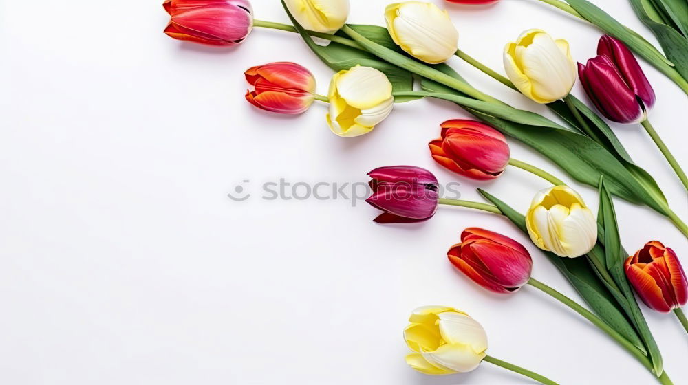 Similar – Spring Bouquet Easter Greeting Tulips