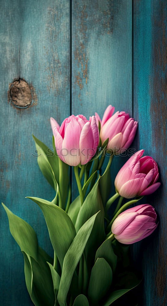 Image, Stock Photo Tulips Bouquet of flowers