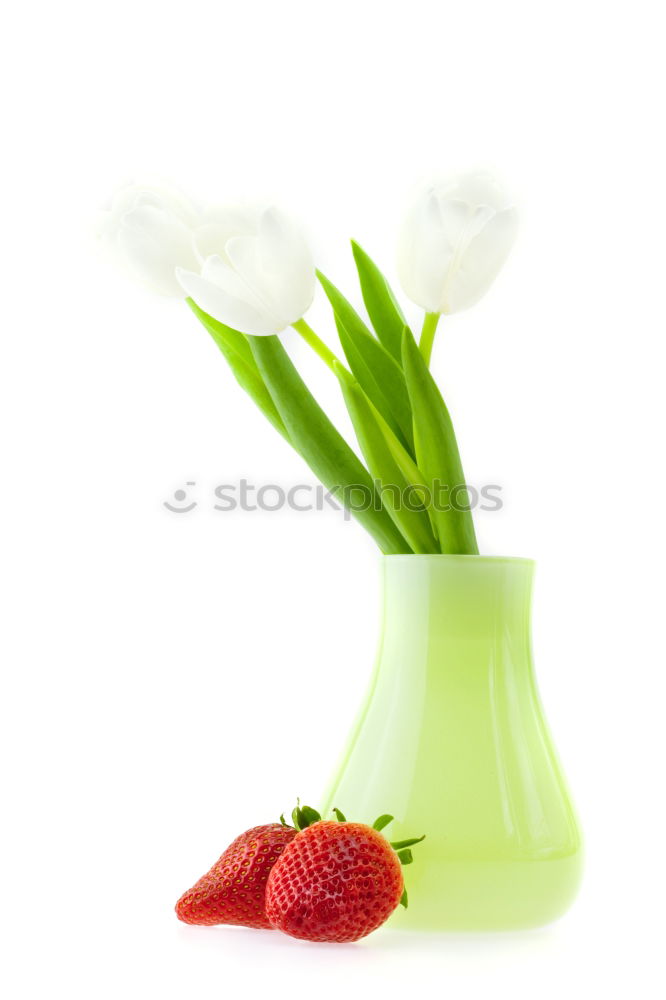 Similar – Image, Stock Photo Spring in the coffee cup