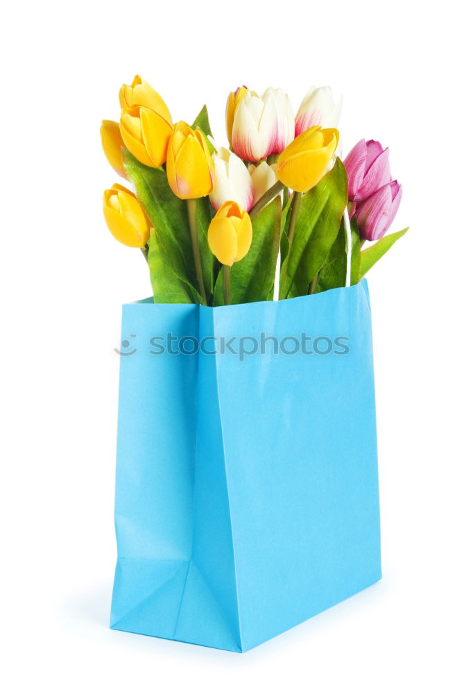 Similar – Image, Stock Photo Pink shopping bag with gerbera flowers