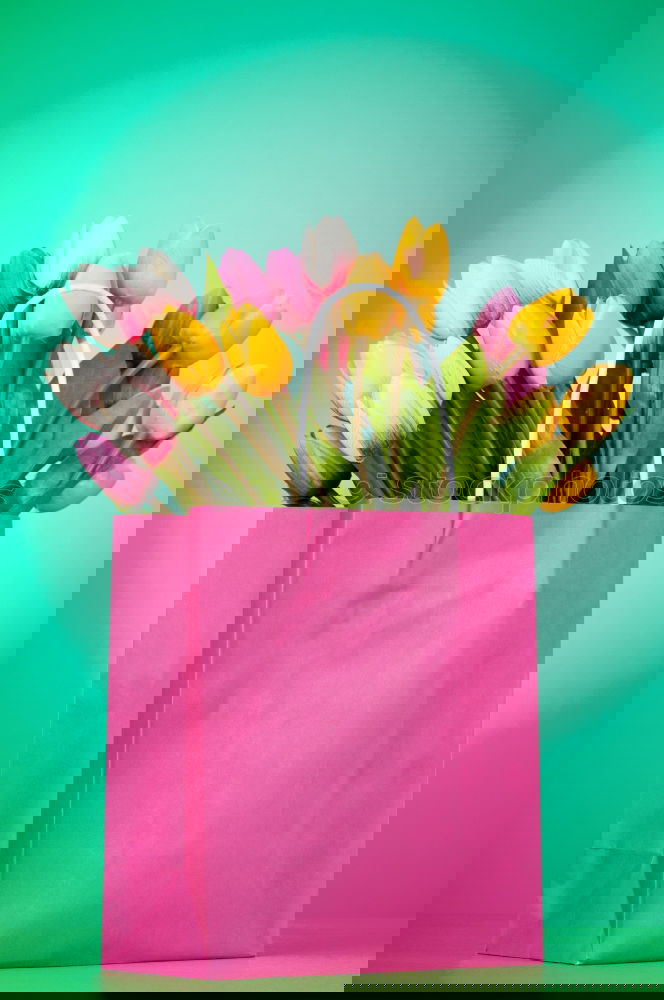 Similar – Image, Stock Photo Pink shopping bag with gerbera flowers