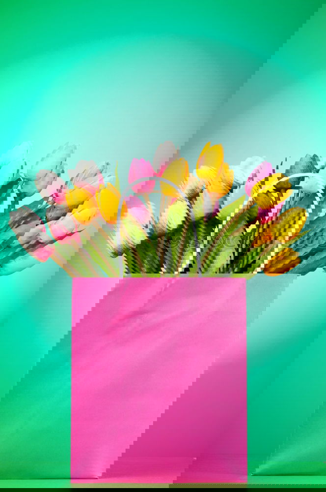 Similar – Image, Stock Photo Pink shopping bag with gerbera flowers
