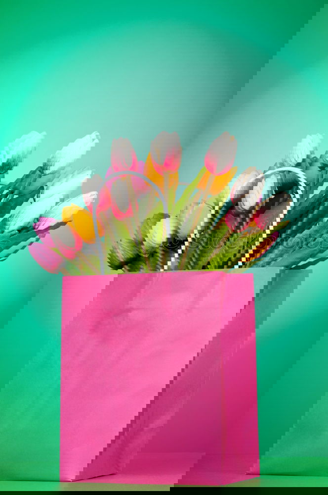 Similar – Image, Stock Photo Pink shopping bag with gerbera flowers