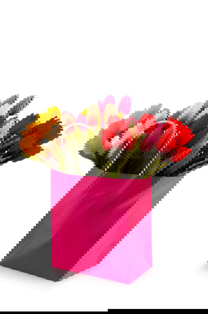 Similar – Image, Stock Photo Pink shopping bag with gerbera flowers