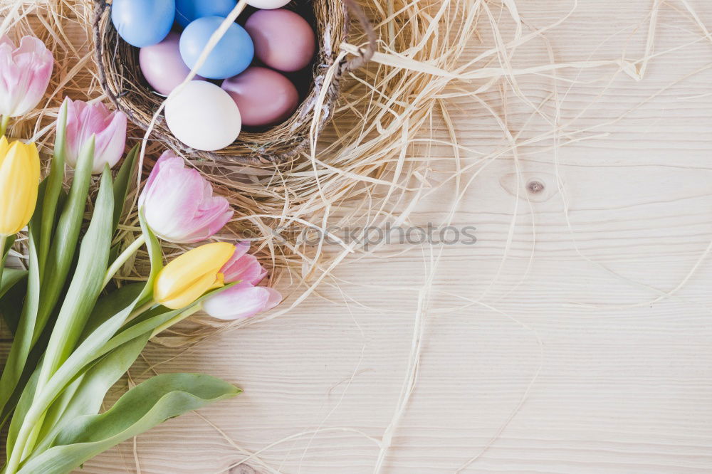 Similar – Image, Stock Photo Easter greeting card and nest with eggs