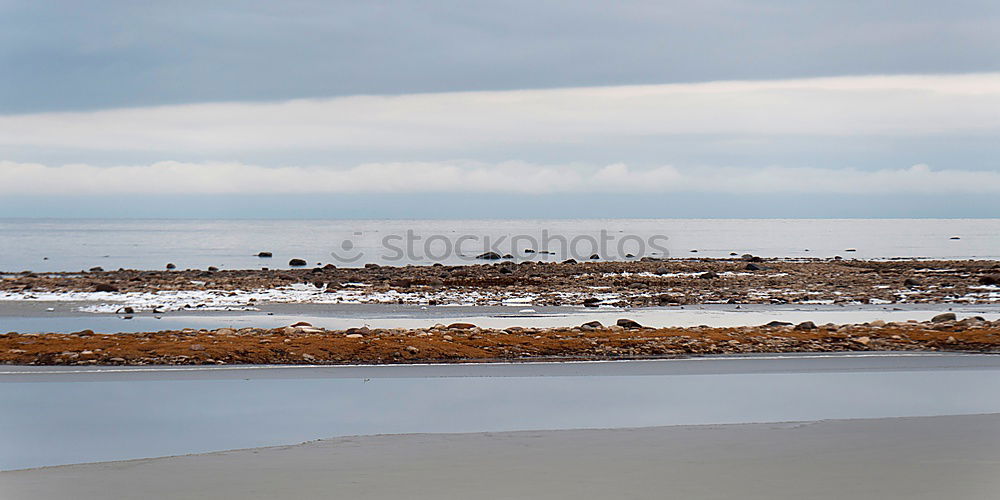 Similar – Beach walk at low tide