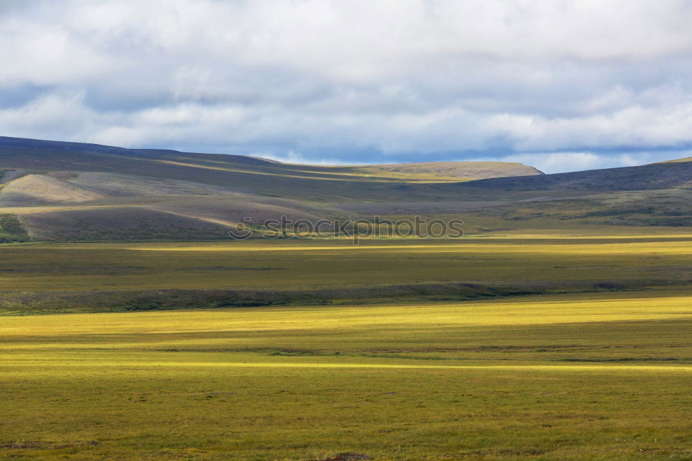 Similar – African steppe