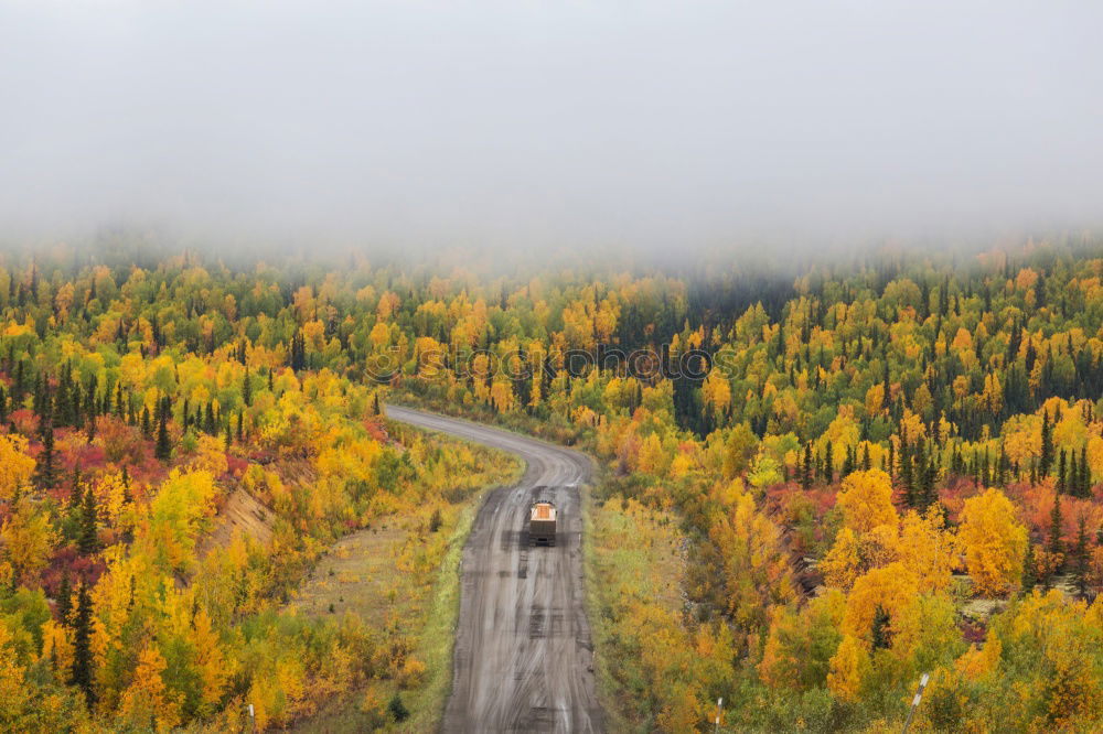 Similar – Image, Stock Photo Indian Summer @ Acadia NP