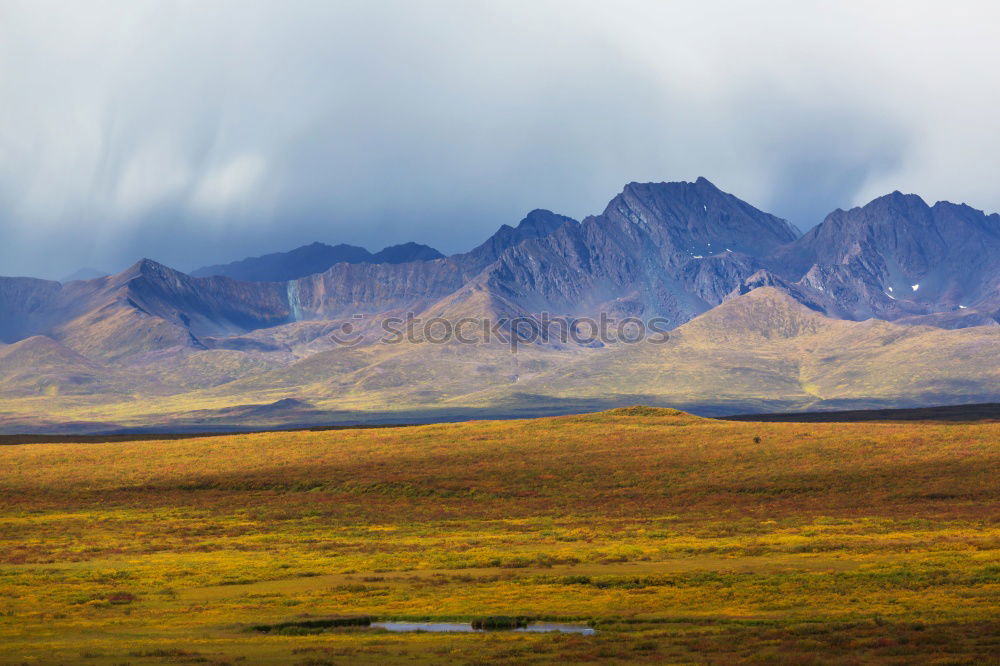 Similar – Green prairie in mountains